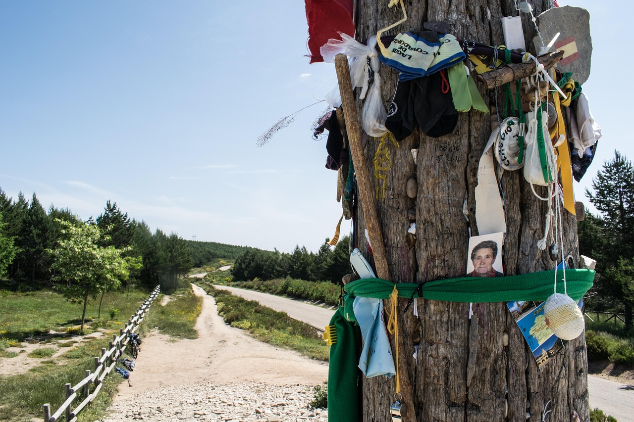 Camino de Santiago