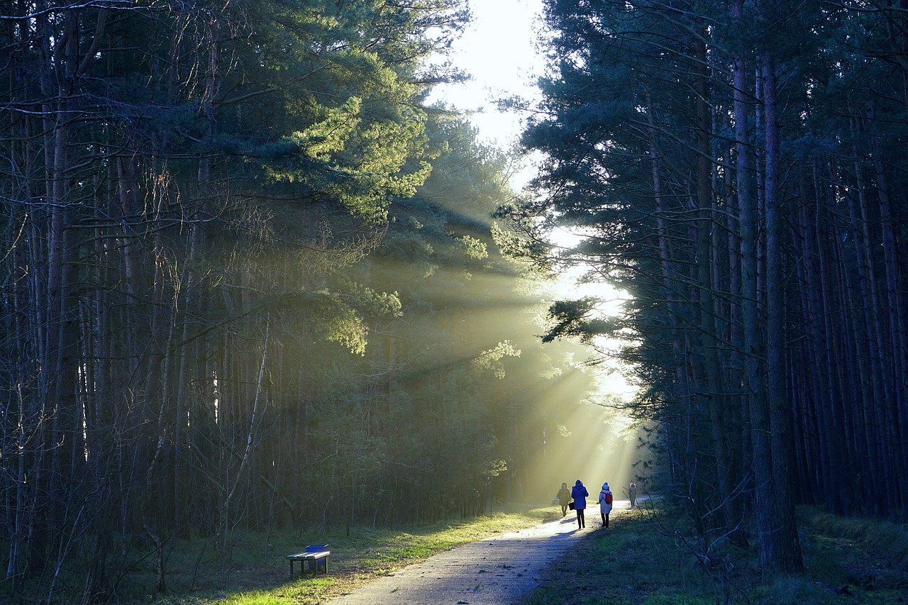 the path 7631282 1280