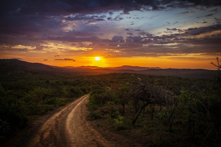 ¿Cuál es la mejor ruta para tu primer Camino en 2025? Guía práctica