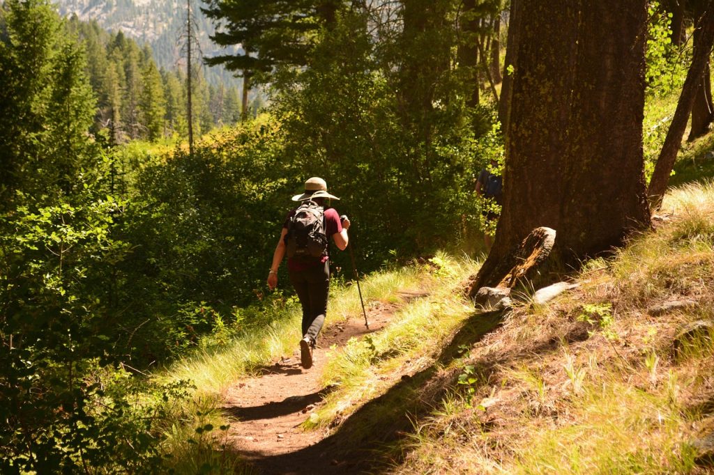 Hacer el Camino de Santiago Sola