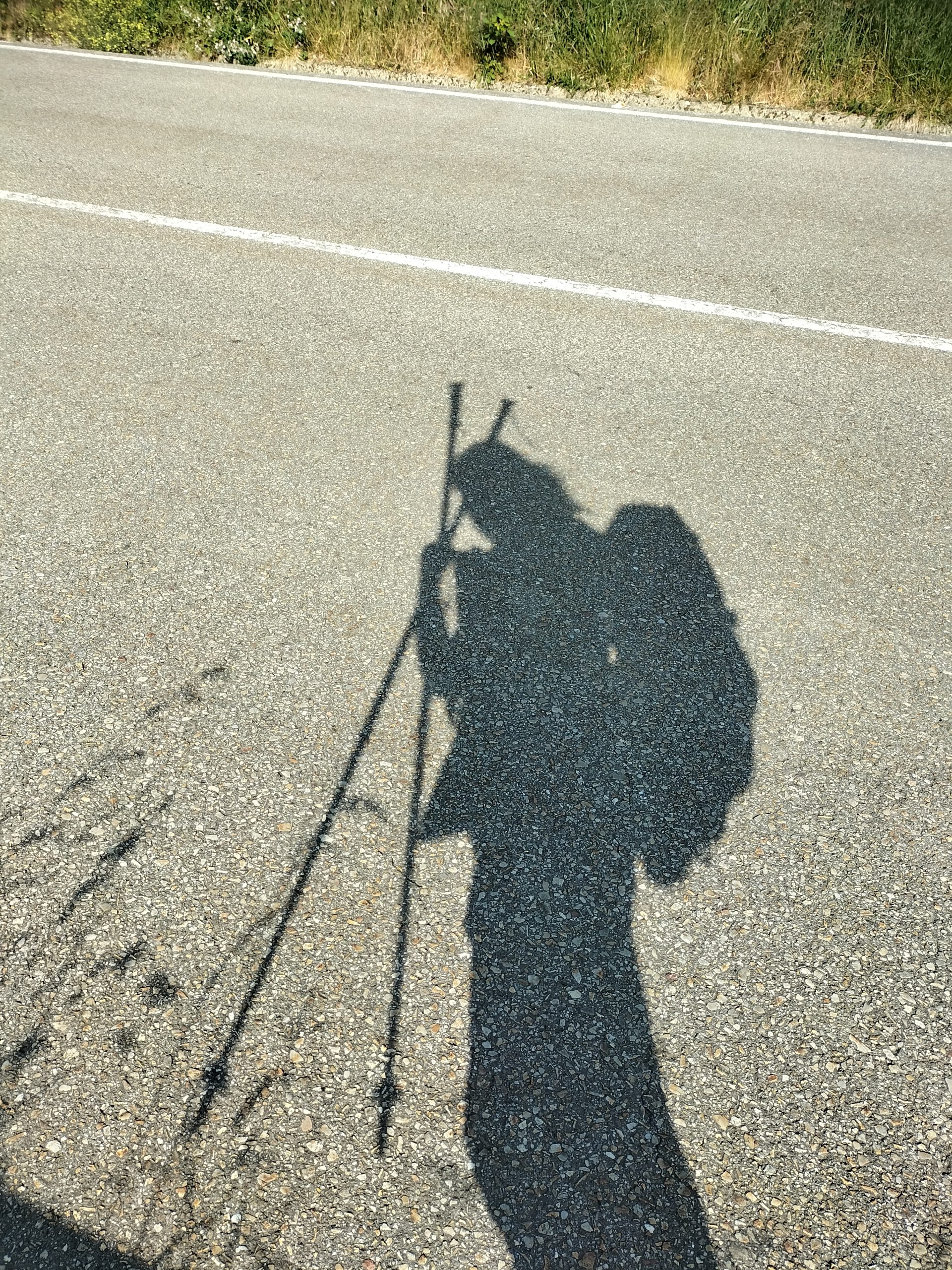 Flecha Amarilla
