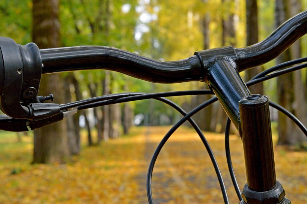 Camino en bicicleta