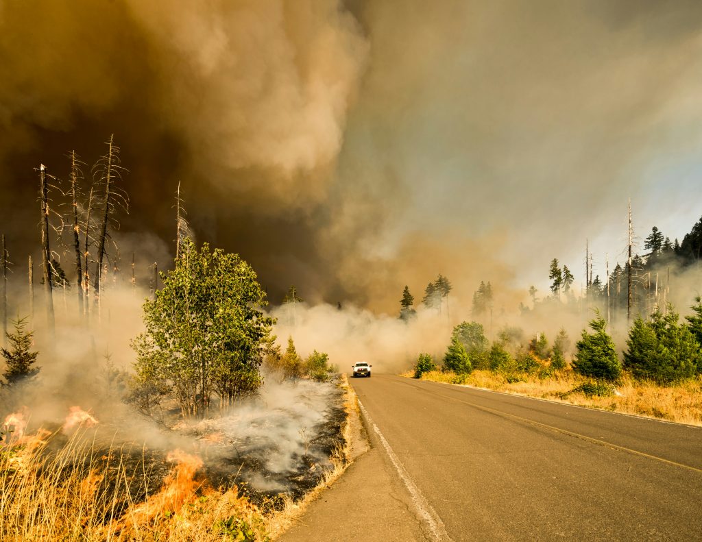 Incendios Camino de Santiago 